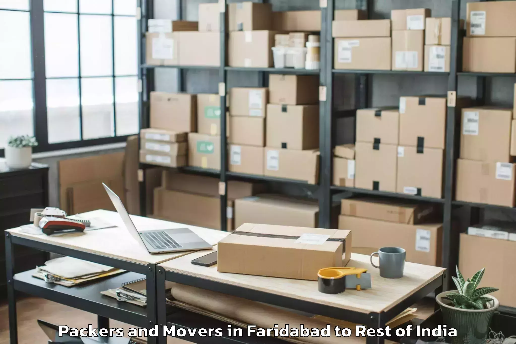 Professional Faridabad to Thrizino Packers And Movers